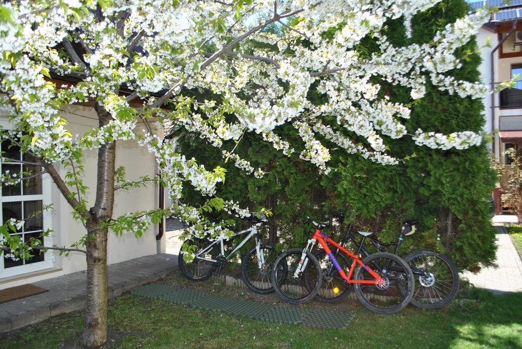 Apartament Beta Appartement Bistriţa Buitenkant foto